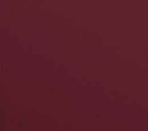 salgar-couleur-granate.jpg -